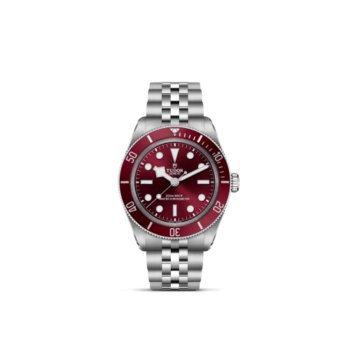 TUDOR Black Bay 58