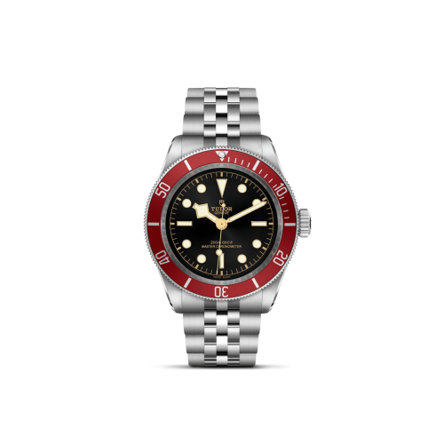 TUDOR Black Bay